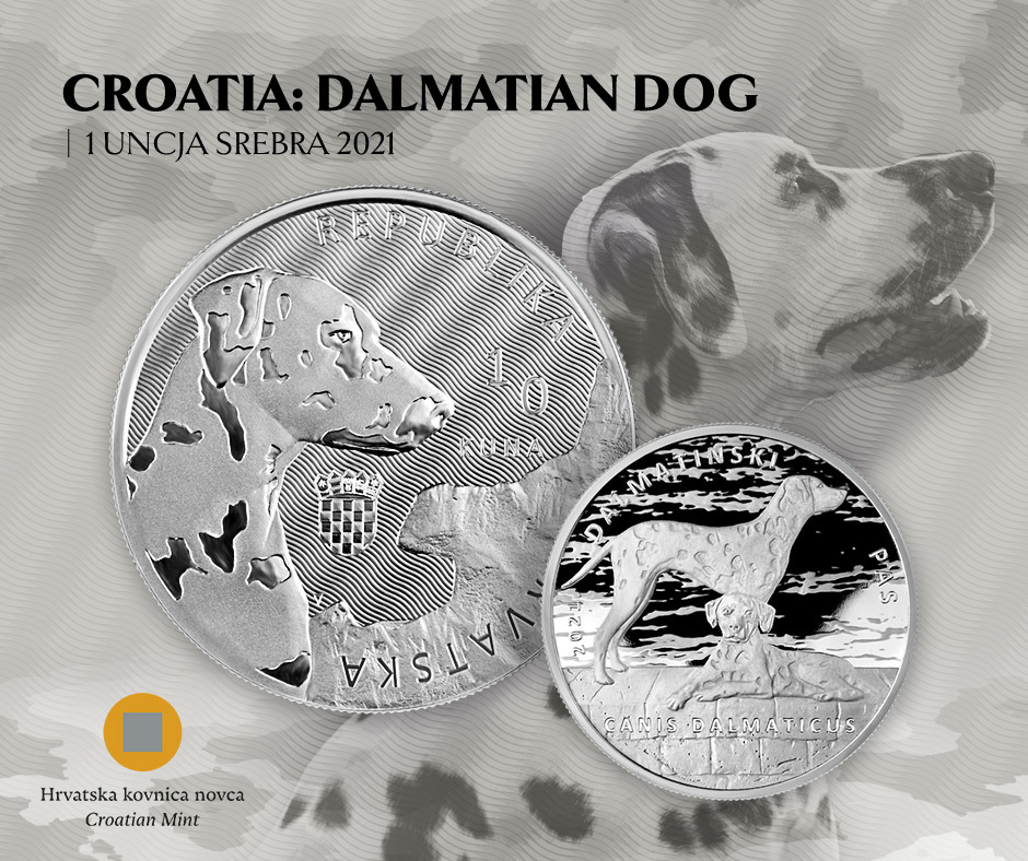Croatia: Dalmatian Dog