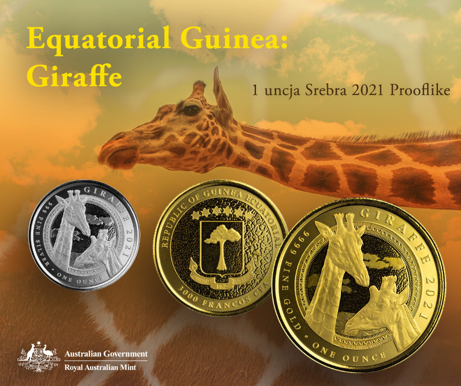Equatorial Guinea: Giraffe 