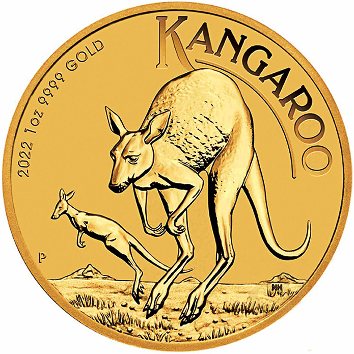 Australian Gold Kangaroo
(Australijski Złoty Kangur)