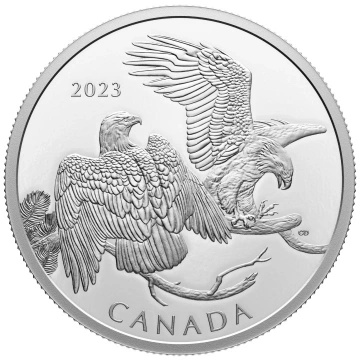 Canada: The Striking Bald Eagle $30 Silber 2023 Proof Coin