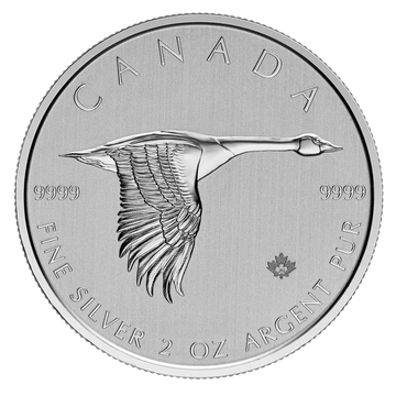 Gans 2 oz Silber 2020