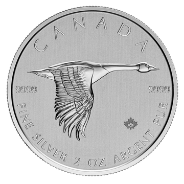 Goose 2 oz Silver 2020