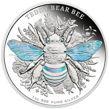 Silver Coin Niue: Australian Native Bees - Teddy Bear Bee 1 oz Silver 2026 Proof Hologram