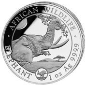 African Wildlife: Somalia Elephant 1 oz Silver 2023 Privy Mark 'Year of the Rabbit'