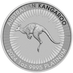 Australian Kangaroo 1 oz Platinum 2024