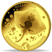 Congo: World‘s Wildlife - Ocean Rays 0,5 gram Gold 2023 Proof 