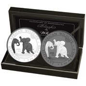 Set of 2 coins African Wildlife: Somalian Elephant "Black & White" coloured  2 x 1 oz Silver 2024