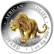 Somalia: African Wildlife - Leopard 1 oz Silver 2023 Gilded Coin