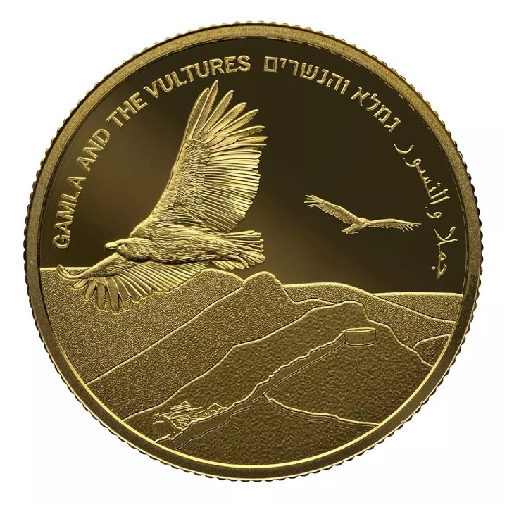 Gamla And The Vultures 10 NIS Gold 2022 Proof 