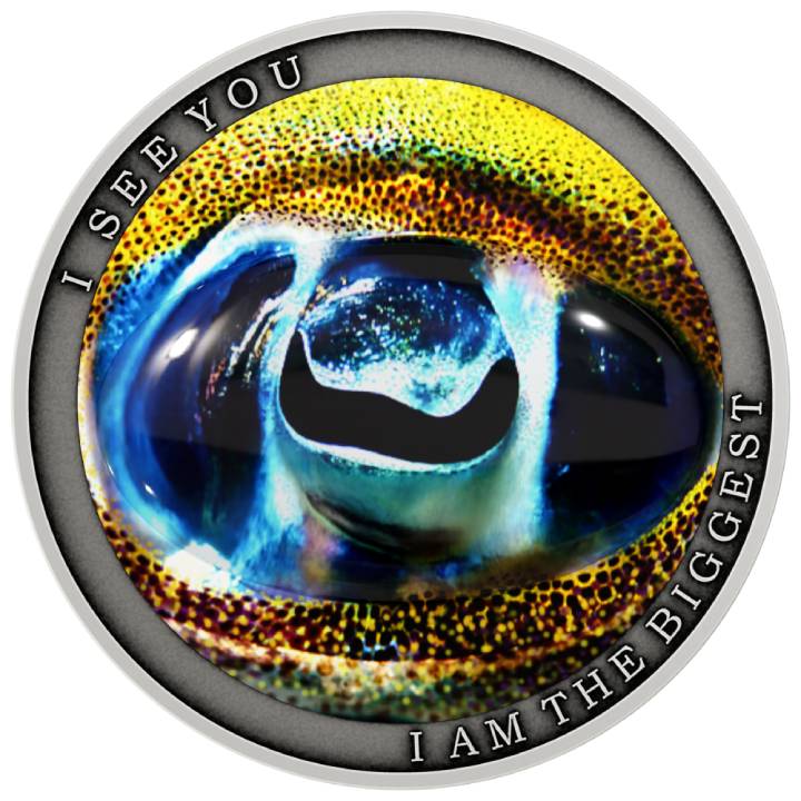 Niue: Wild Africa - I am the biggest coloured $1 Silver 2022 Antique Finish Coin	