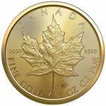 Canadian Maple Leaf 1 oz Gold 2022