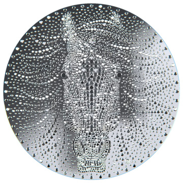 Niue: Year of the Horse 1/2 onza Plata 2026 Prooflike