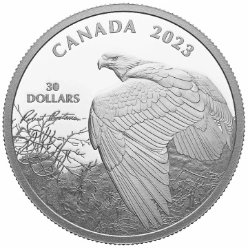 Canada : Point de vue – Pygargue à tête blanche 2 onces d'argent 2023 Proof