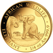 African Wildlife: Somalia Elephant 1/4 oz Gold 2024