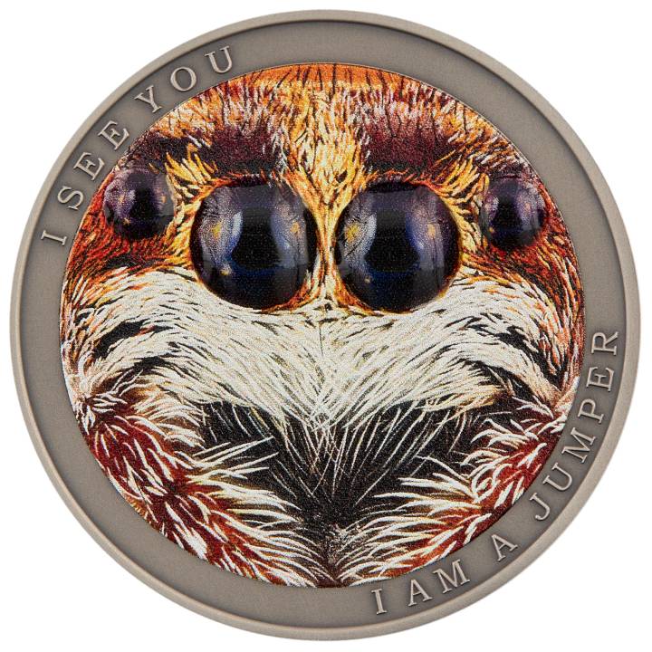 Niue: Wild Africa - The Jumping Spider coloured $1 Silber 2022 Antique Finish Coin	