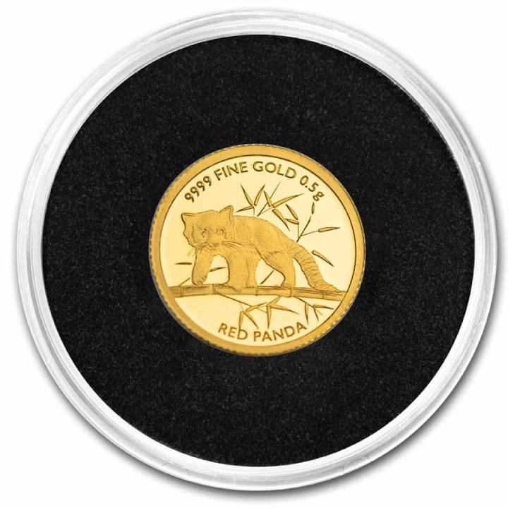Czad: Red Panda 0,5 gram Gold 2023 Coin