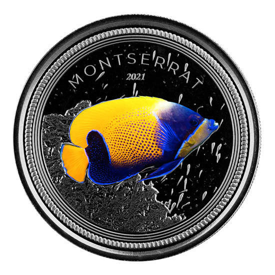 Montserrat: Blue Girdled Angelfish barevná 1 unce stříbra 2021 Proof