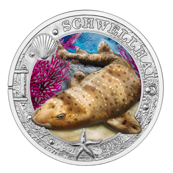 Swell Shark coloreado 3 Euros Cobre 2023