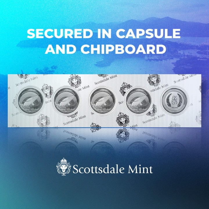 St. Vincent & The Grenadines - Humpback Whale 1 oz Silber 2023 Prooflike (coin in capsule)