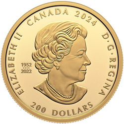 Canada : Celebrating Canada’s Diversity - Transcendence and Tranquility 1 once d'or 2024 Proof