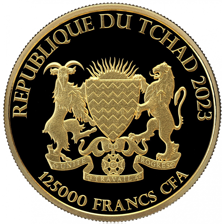 Czad: Bull & Bear 1/4 uncji Złota 2023