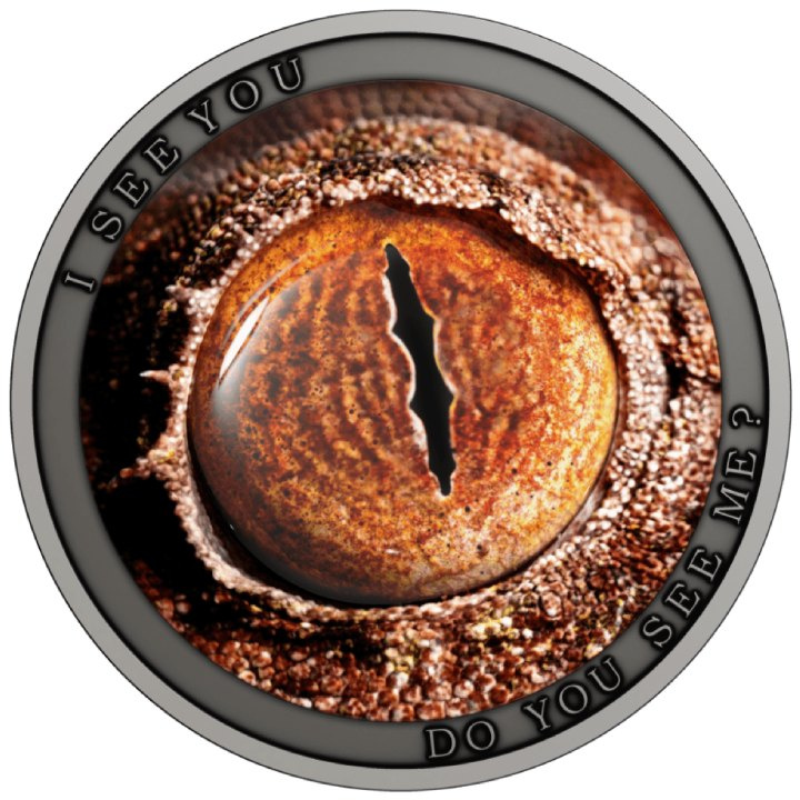 Niue: Wild Africa - Do You See Me? coloured $1 Silber 2021 Antique Finish Coin	