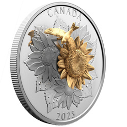 Canada: Il cardellino e il fiore placcato in oro $50 Argento 2025 Proof