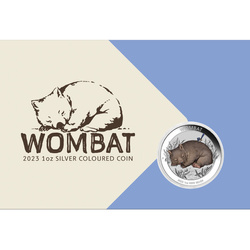 Wombat australien coloré 1 once d'argent 2023