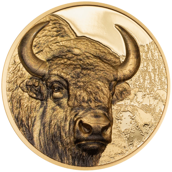 Mongólia: Bison 1 uncia arany 2025 Proof