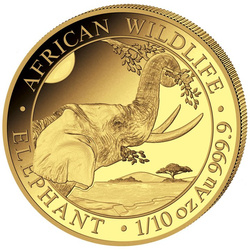Vida Silvestre Africana: Elefante Somalí 1/10 oz Oro 2023