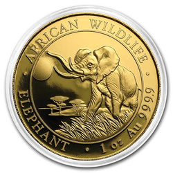 Fauna Africana: Elefante Somalí 1 oz Oro 2016