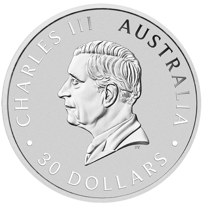 Kookaburra 1000 gramów Srebra 2025