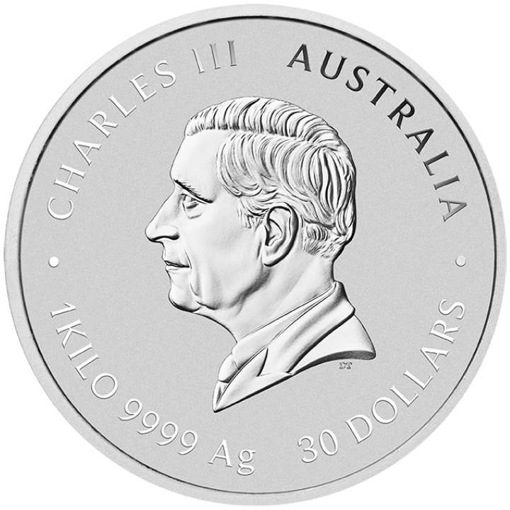 Perth Mint: Lunar III - Rok Węża 1000 gramów Srebra 2025