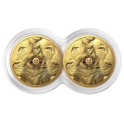 Big Five II: Sada Lion 2 x 1/4 unce zlata 2022 Proof