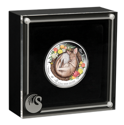 Dreaming Down Under: Sleeping Kangaroo színes 1/2 oz ezüst 2021 Proof