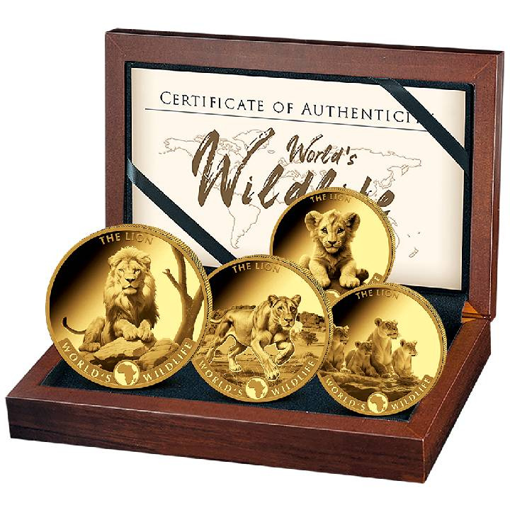 Congo: World’s Wildlife – El León 2025 Set de Monedas Proof