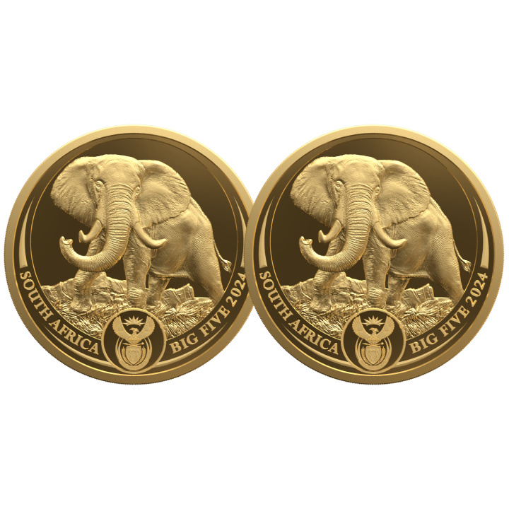 Big Five III: Set Elefante 2 x 1/4 oncia d'oro 2024 Proof