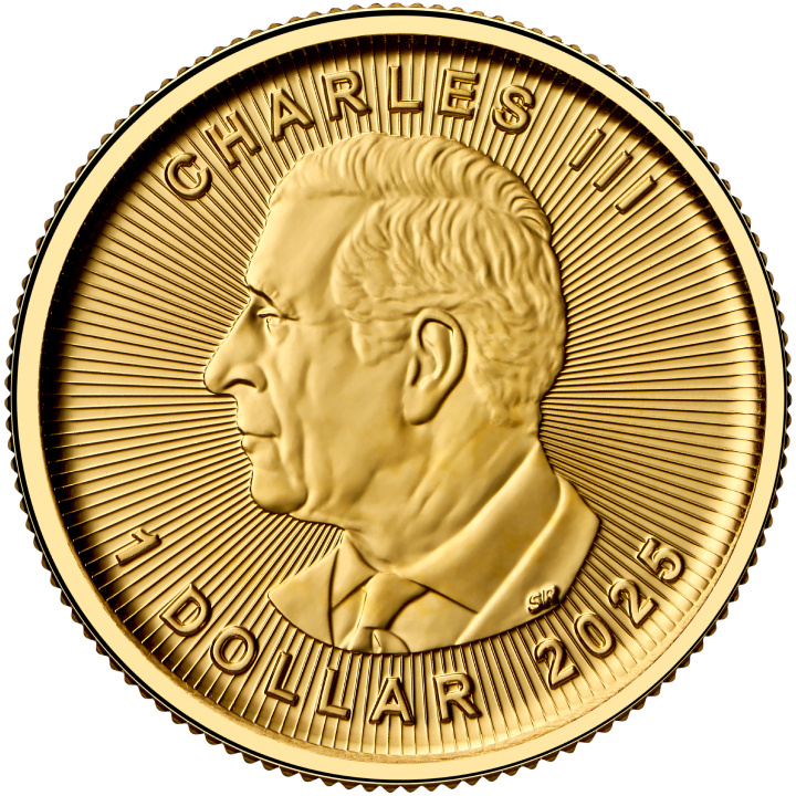 Canadian Maple Leaf 1/20 oz Gold 2025