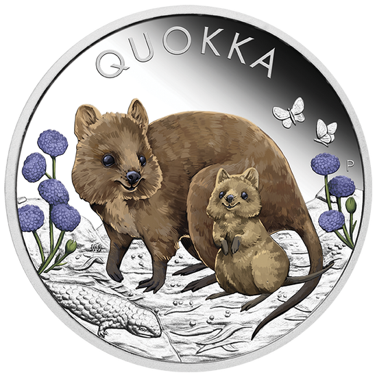 Quokka coloré 1 once d'argent 2022 Proof