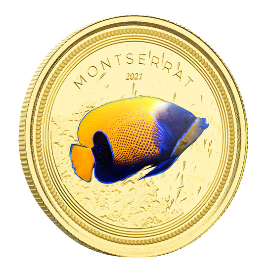 Montserrat Blue Girdled Angelfish kolorowany 1 uncja Złota 2021 Proof
