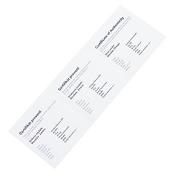 Mandala Change coloured Silver 2022 Proof