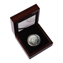 Big Five: Rinoceronte 1 oz Platino 2020 Proof