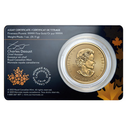 Złota Moneta Canada Klondike: Gorączka Złota - Passage for Gold 1 uncja Złota 2023