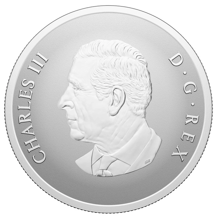 Canada: Remembrance Day coloured $20 Silber 2024 Proof Coin 