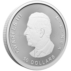 Canada: Bull and Bear 2 oz Silber 2025