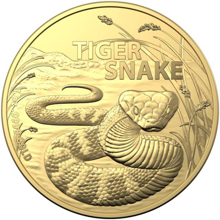 Australia's Most Dangerous: Tiger Snake 1 oz Gold 2024
