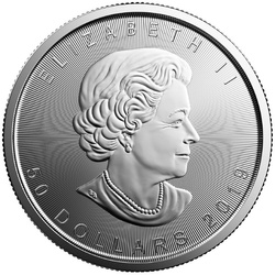 Maple Leaf 1 oz Platinum 2019