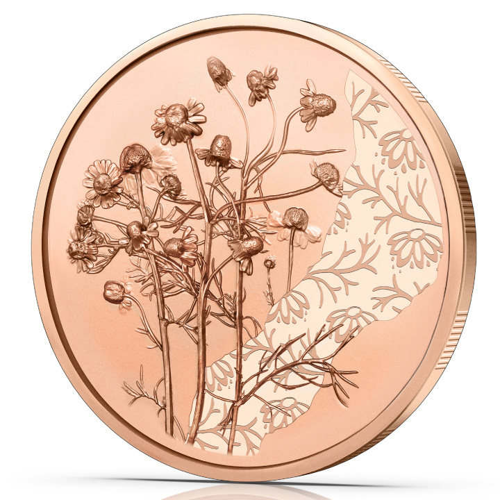 La Manzanilla 10 Euro Cobre 2023