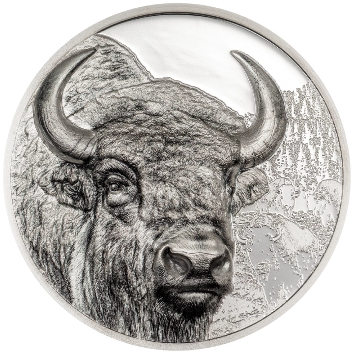 Mongolia: Bisonte 3 oz Plata 2025 Proof Coin