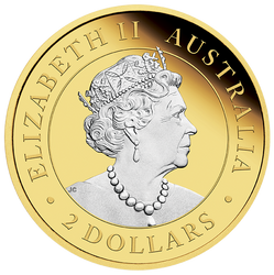 Australian Kangaroo 2 oz Silber 2022 Gilded Coin